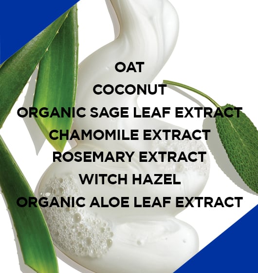 Clean Start Set - Image 3